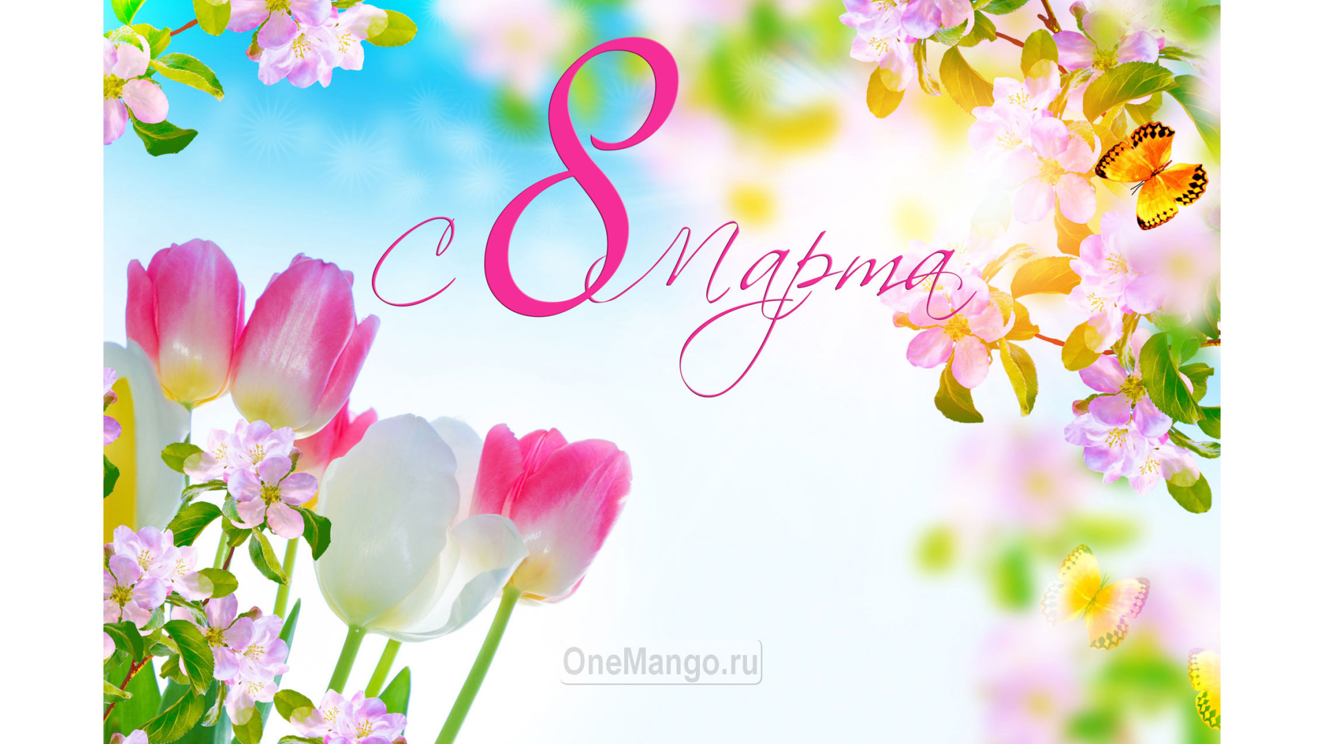 Занавес 8 марта 086