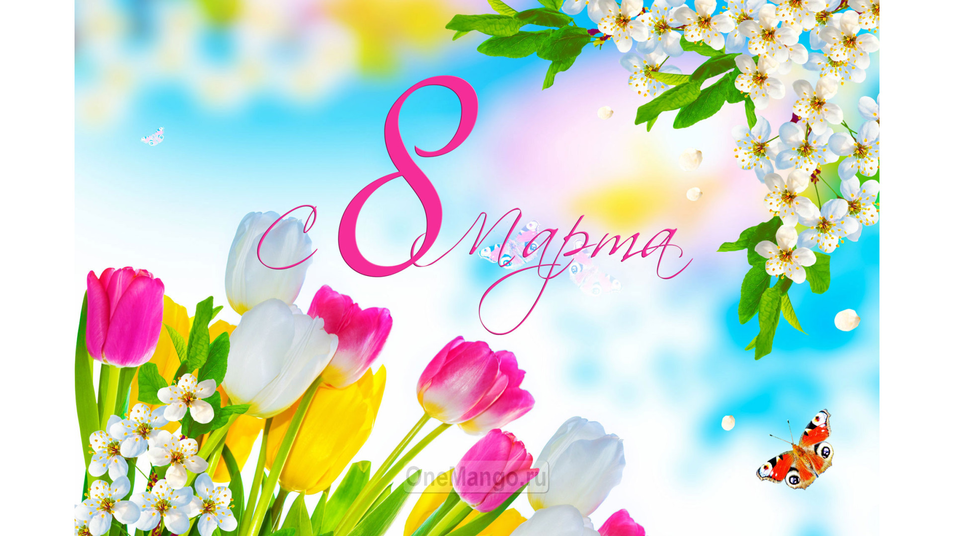 Занавес 8 марта 087