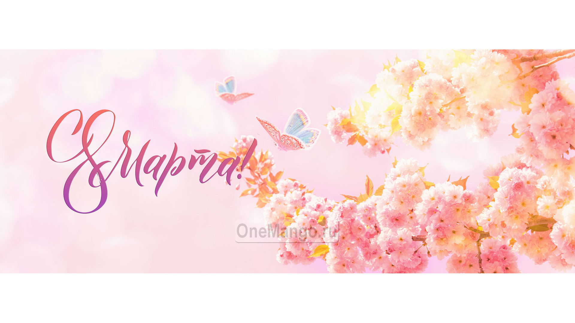 Занавес 8 марта 105