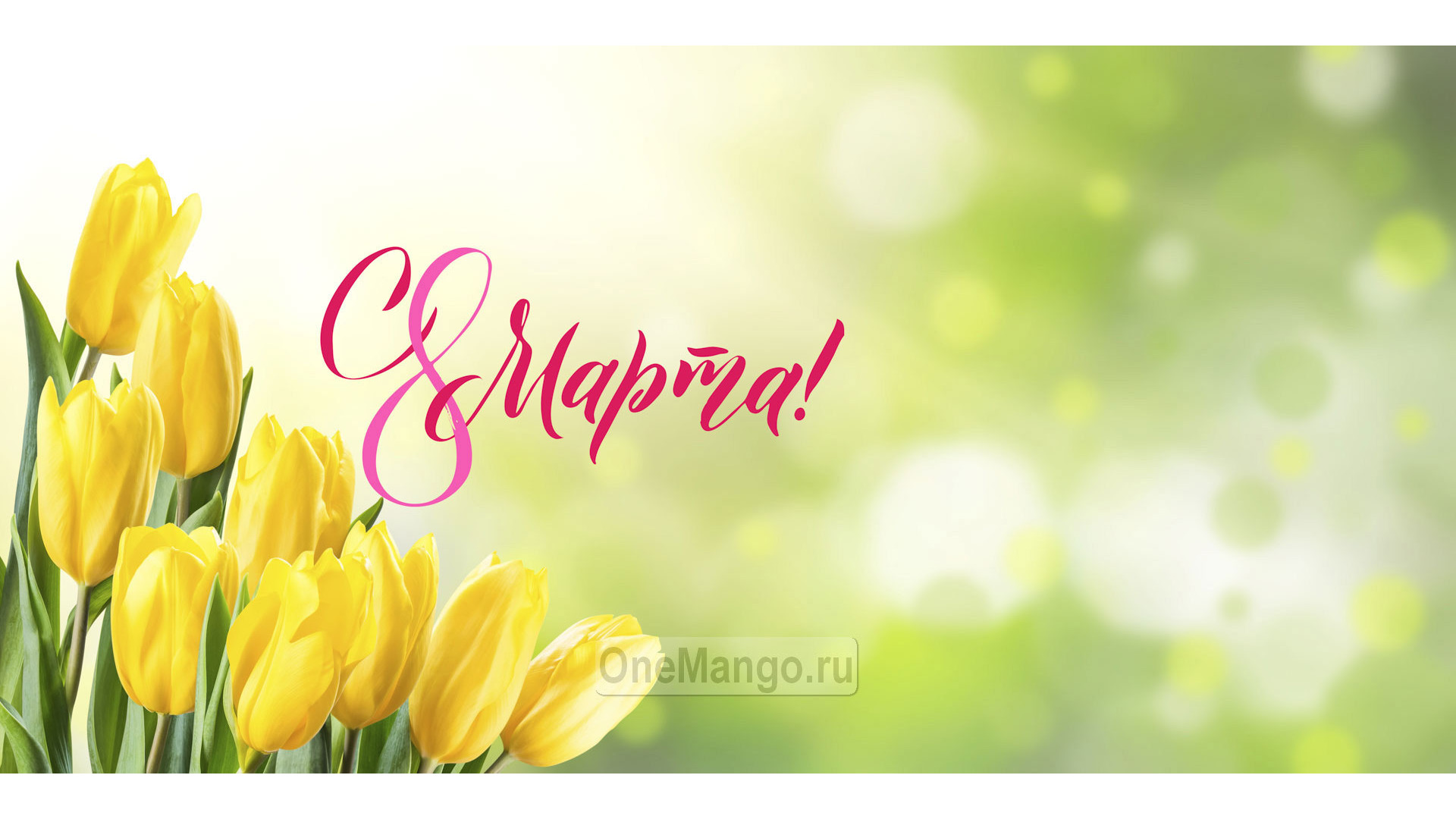Занавес 8 марта 119