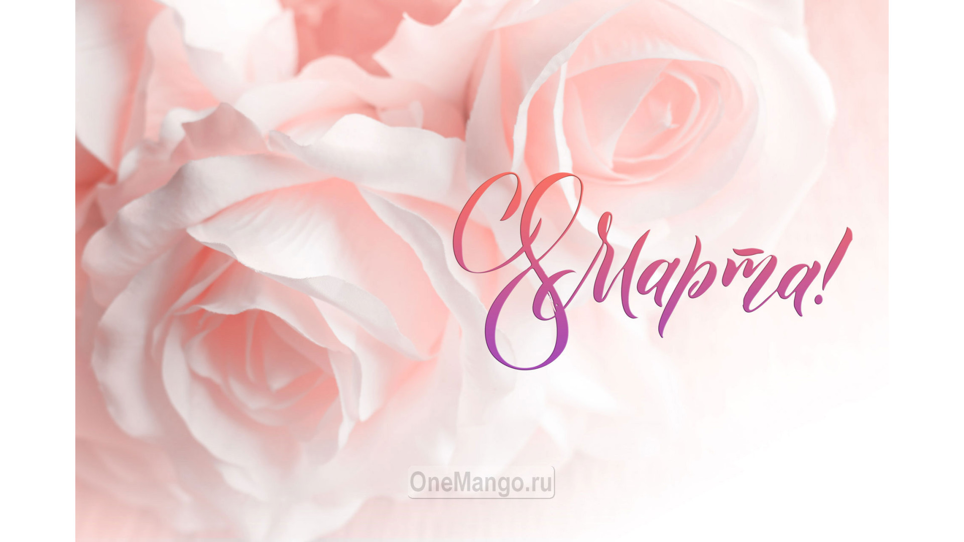 Занавес 8 марта 120