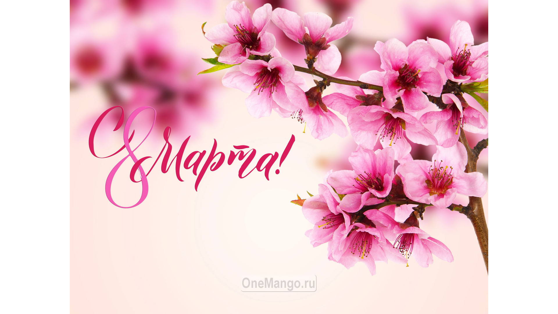 Занавес 8 марта 122