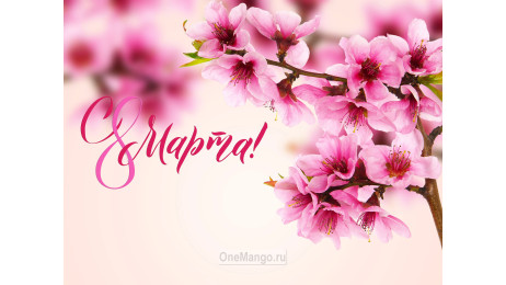 Занавес 8 марта 122
