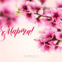Занавес 8 марта 122