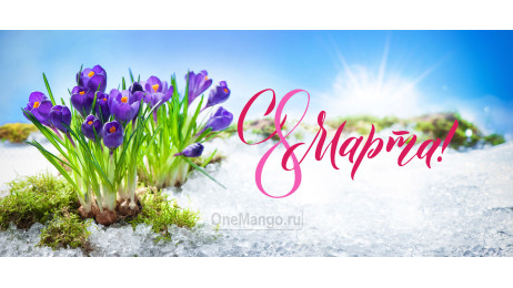 Занавес 8 марта 135