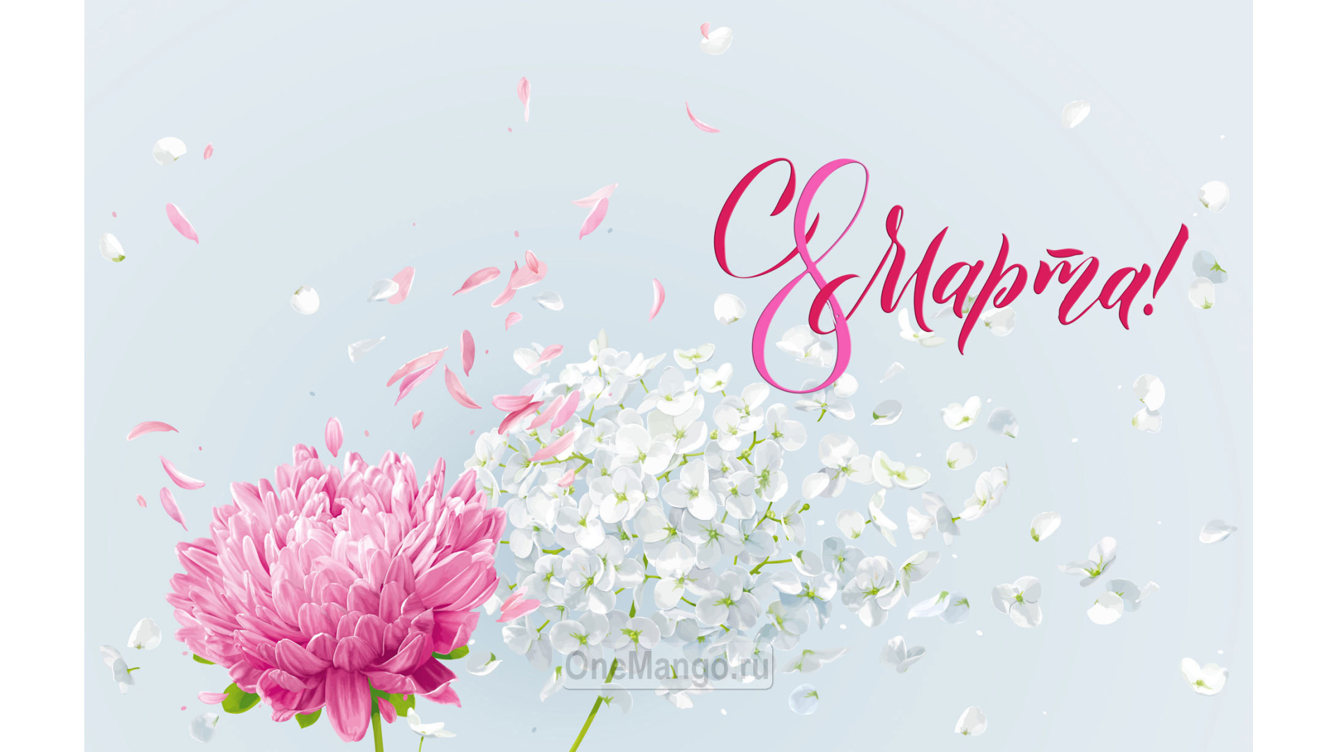 Занавес 8 марта 142