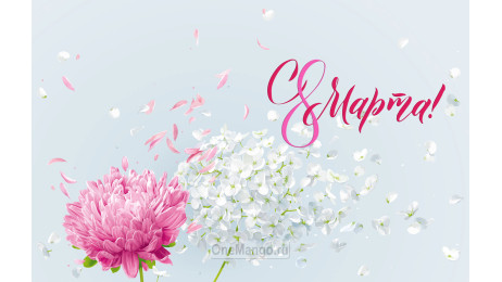 Занавес 8 марта 142
