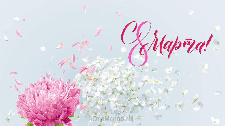 Занавес 8 марта 142