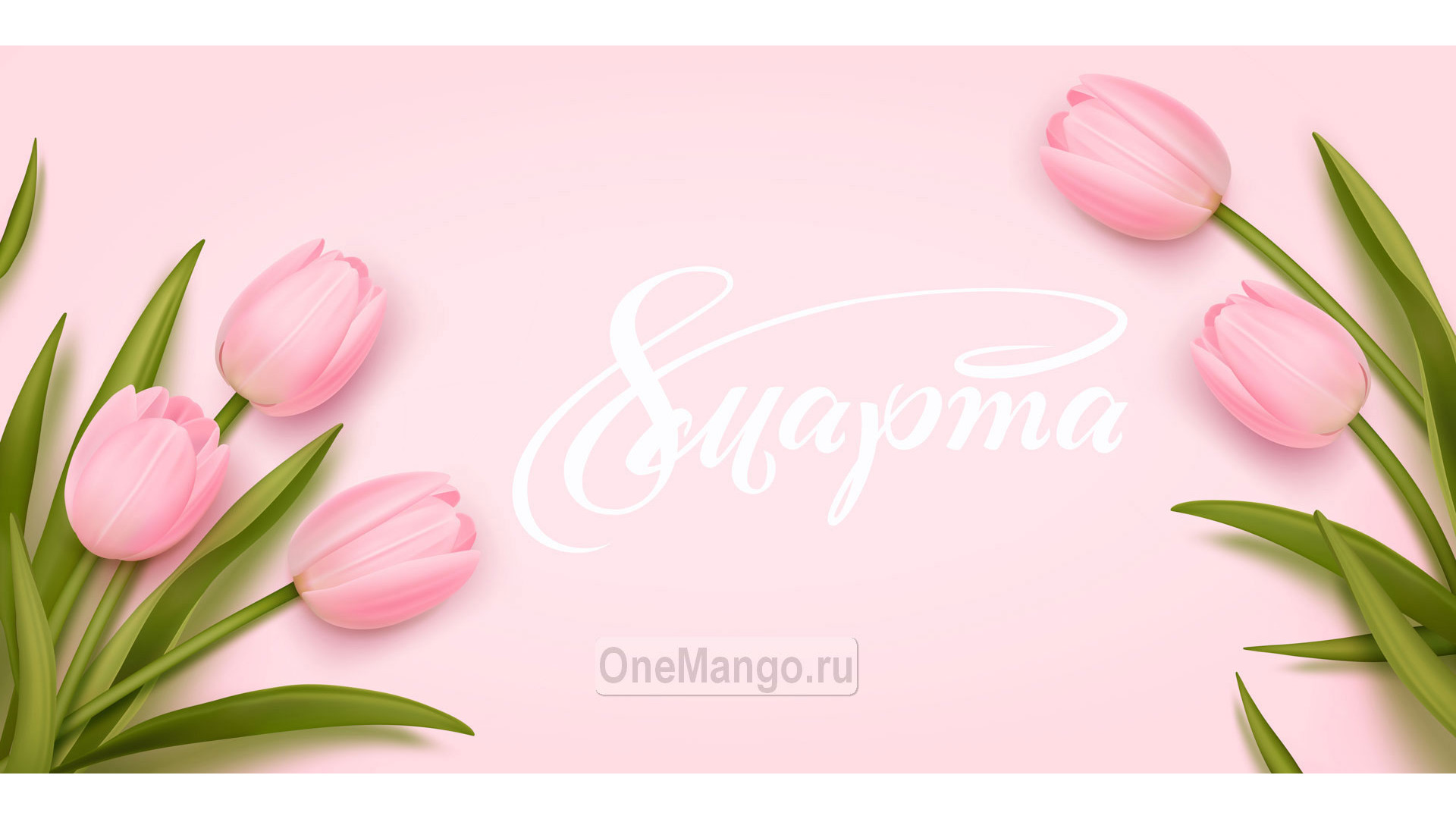 Занавес 8 марта 176