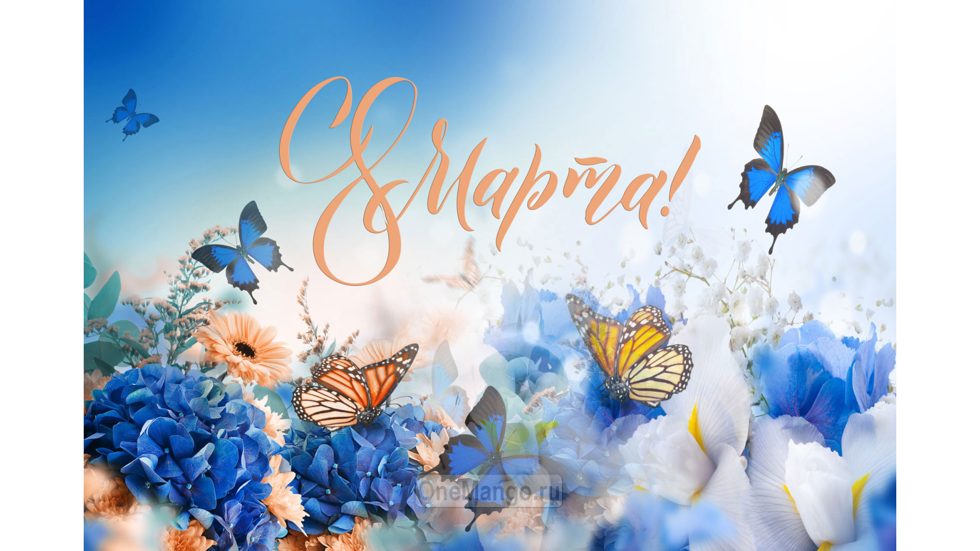 Занавес 8 марта 214