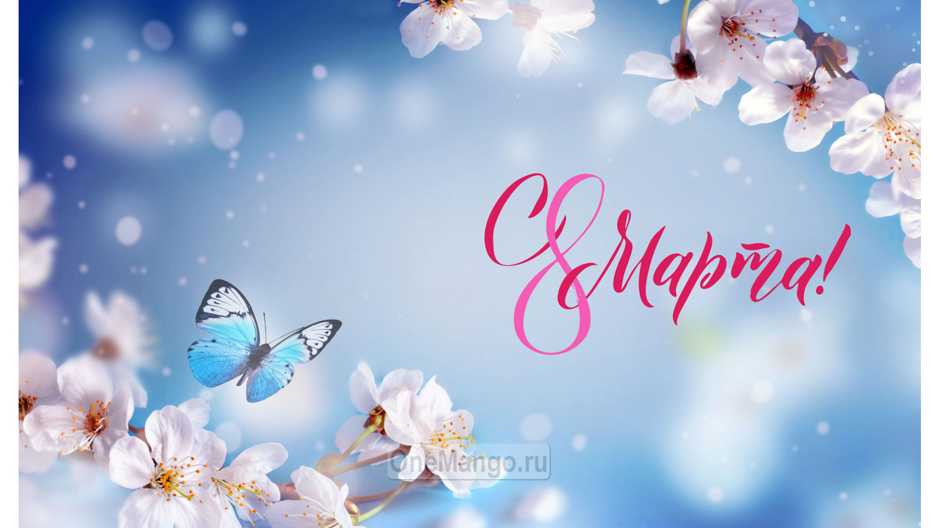 Занавес 8 марта 223