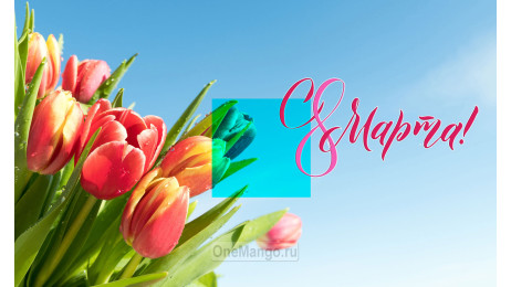 Занавес 8 марта 229