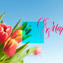 Занавес 8 марта 229
