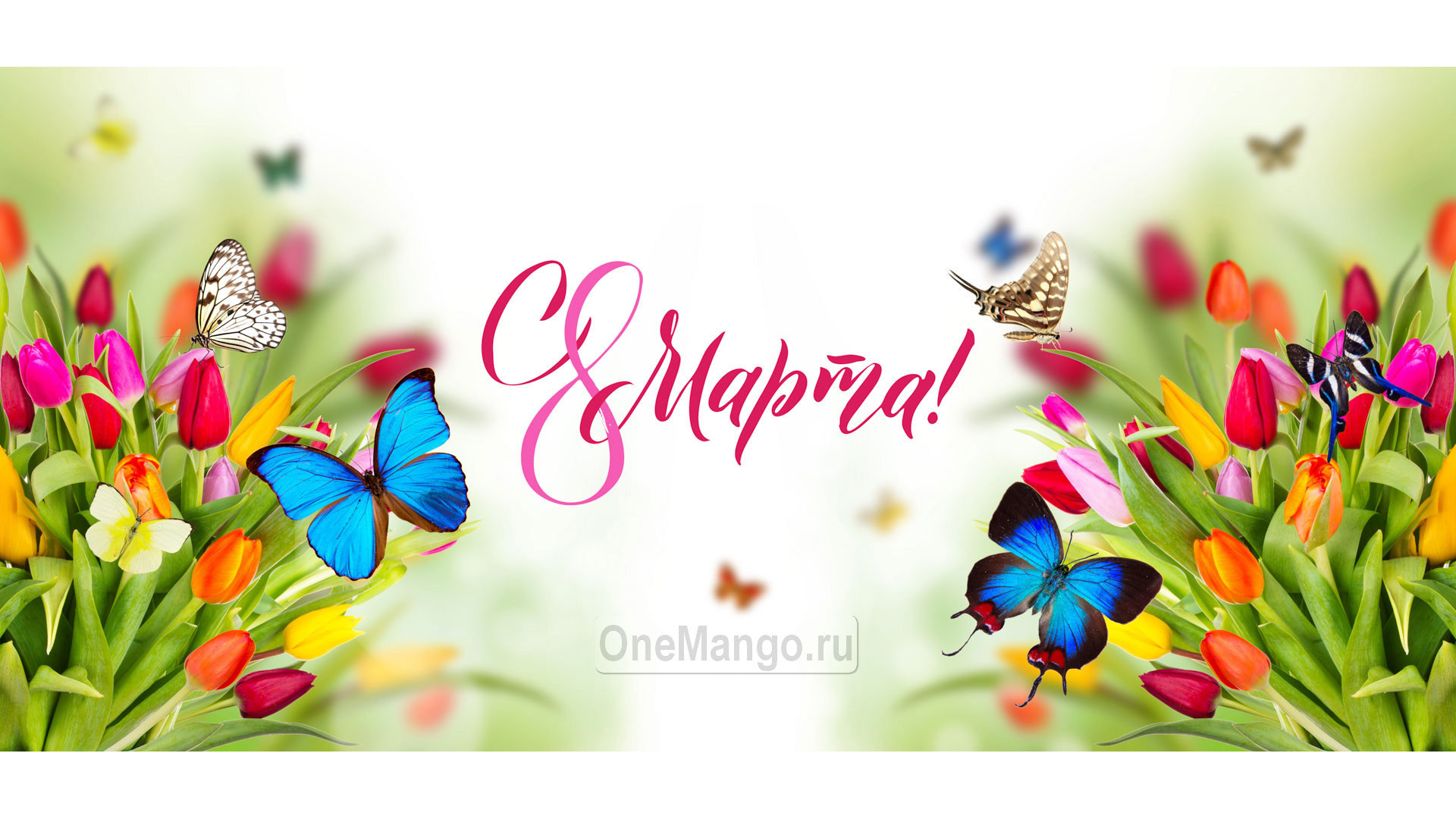 Занавес 8 марта 234
