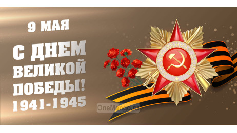 Занавес день победы 007