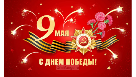 Занавес день победы 012