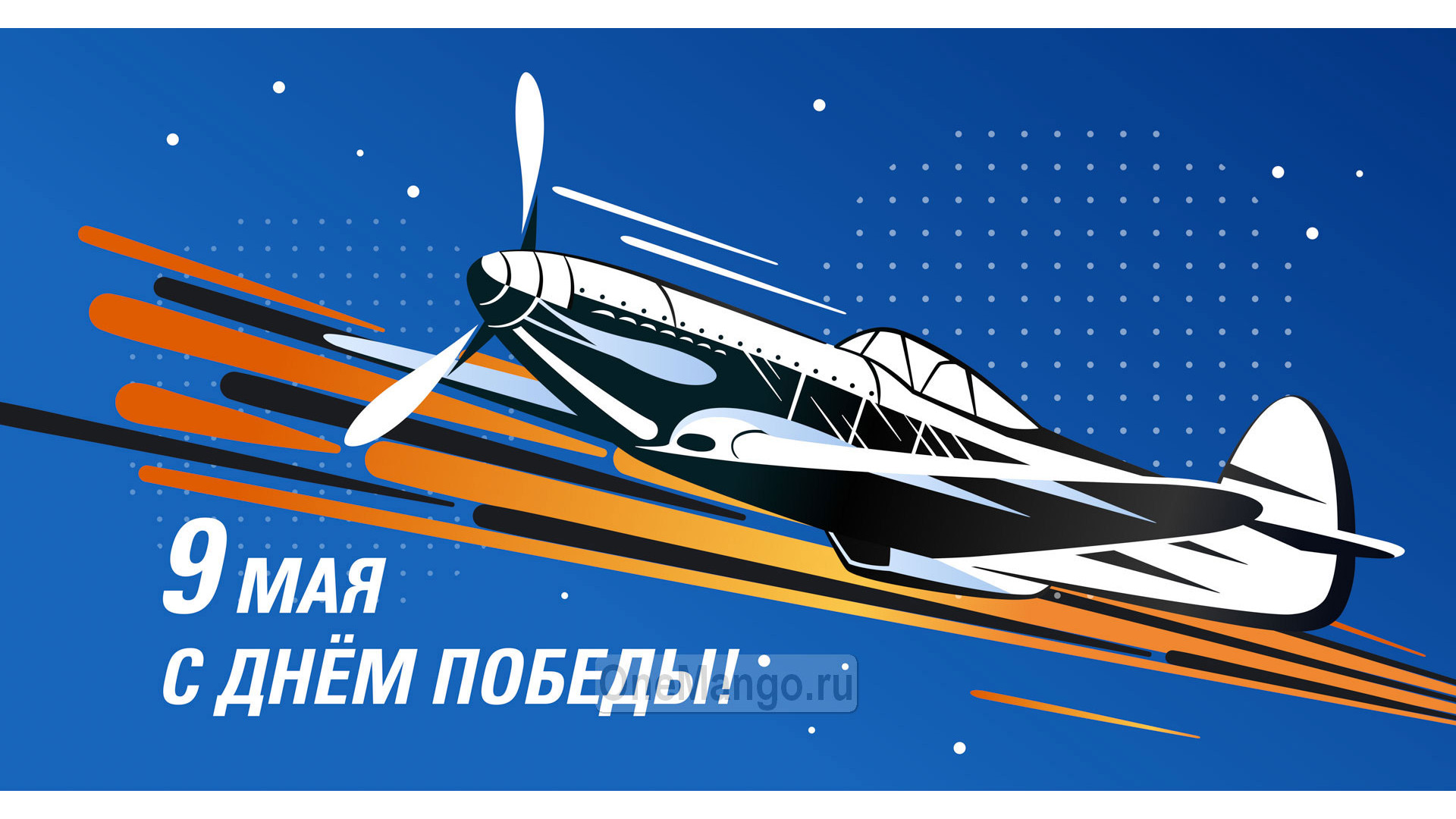 Занавес день победы 016