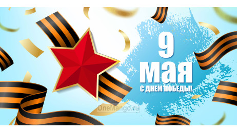 Занавес день победы 017