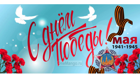 Занавес день победы 019