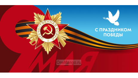 Занавес день победы 021