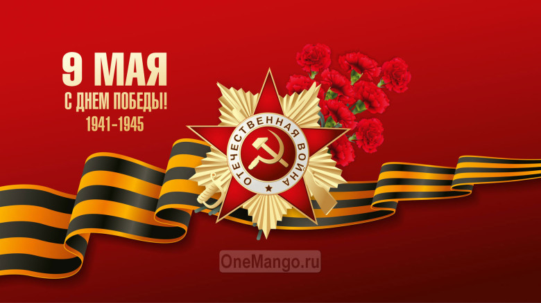 Занавес день победы 027