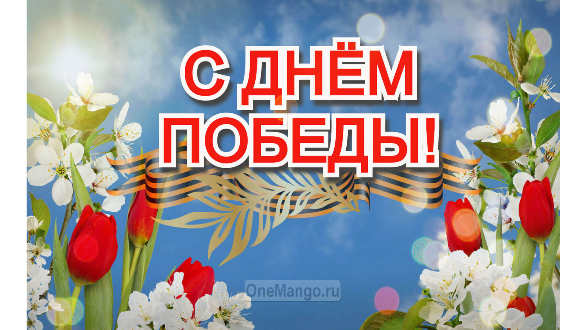 Занавес день победы 039