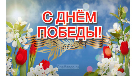 Занавес день победы 039