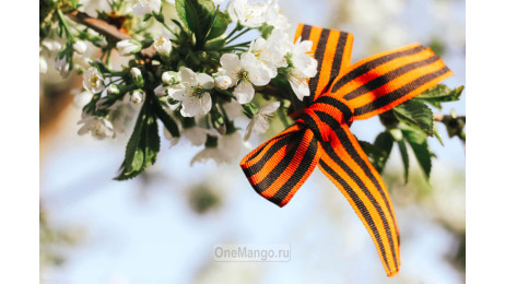 Занавес день победы 040