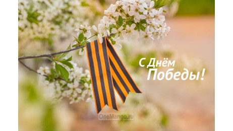 Занавес день победы 051