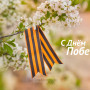 Занавес день победы 051