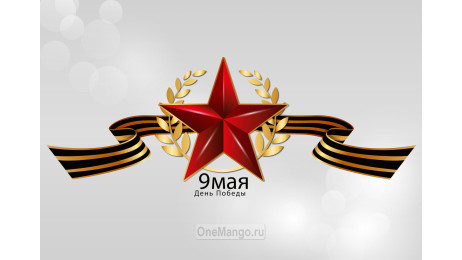 Занавес день победы 062