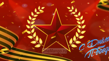 Занавес день победы 063