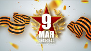 Занавес день победы 066