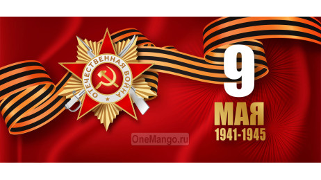Занавес день победы 069
