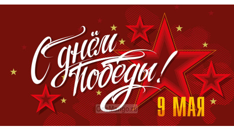Занавес день победы 071