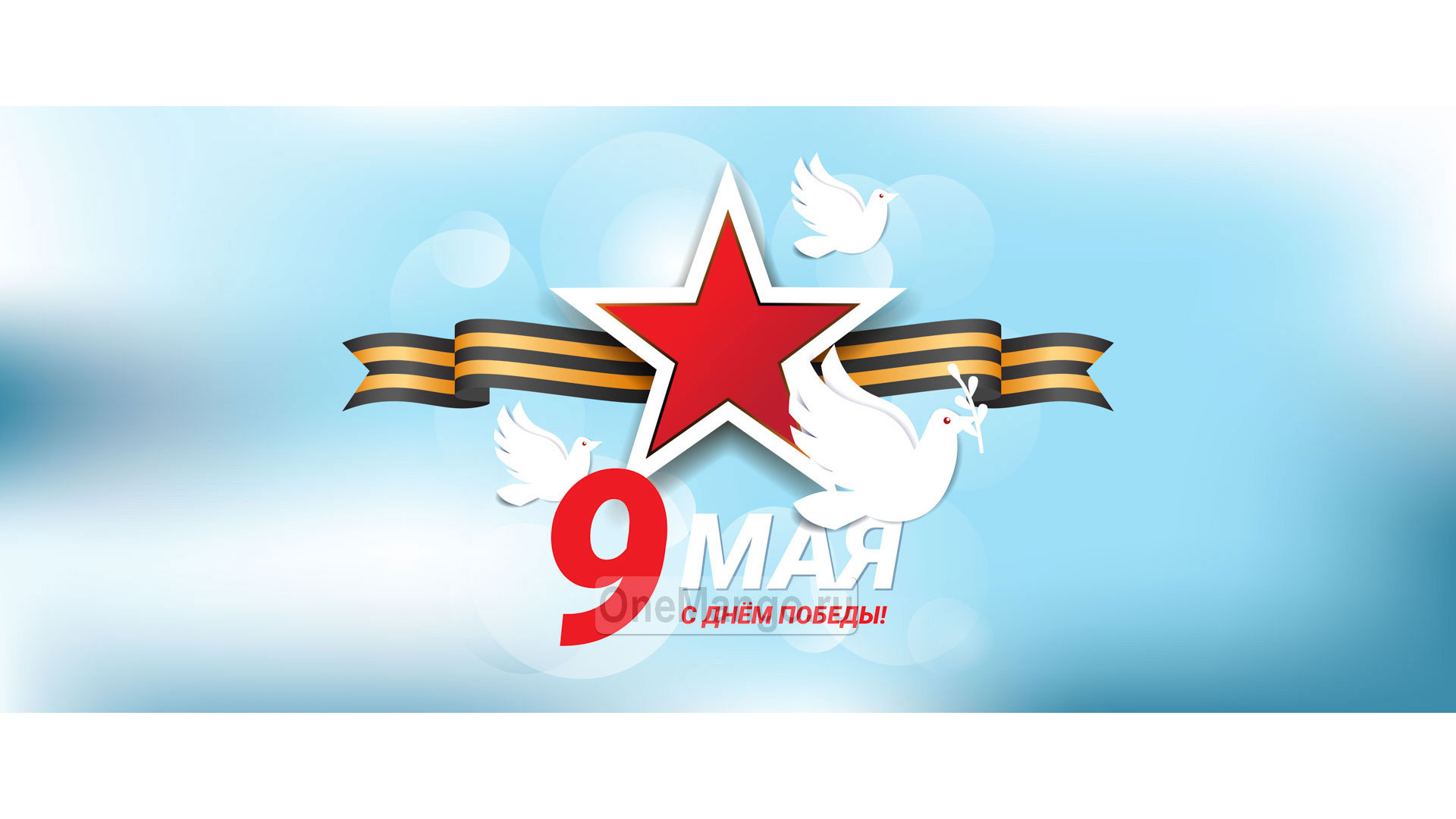 Занавес день победы 074