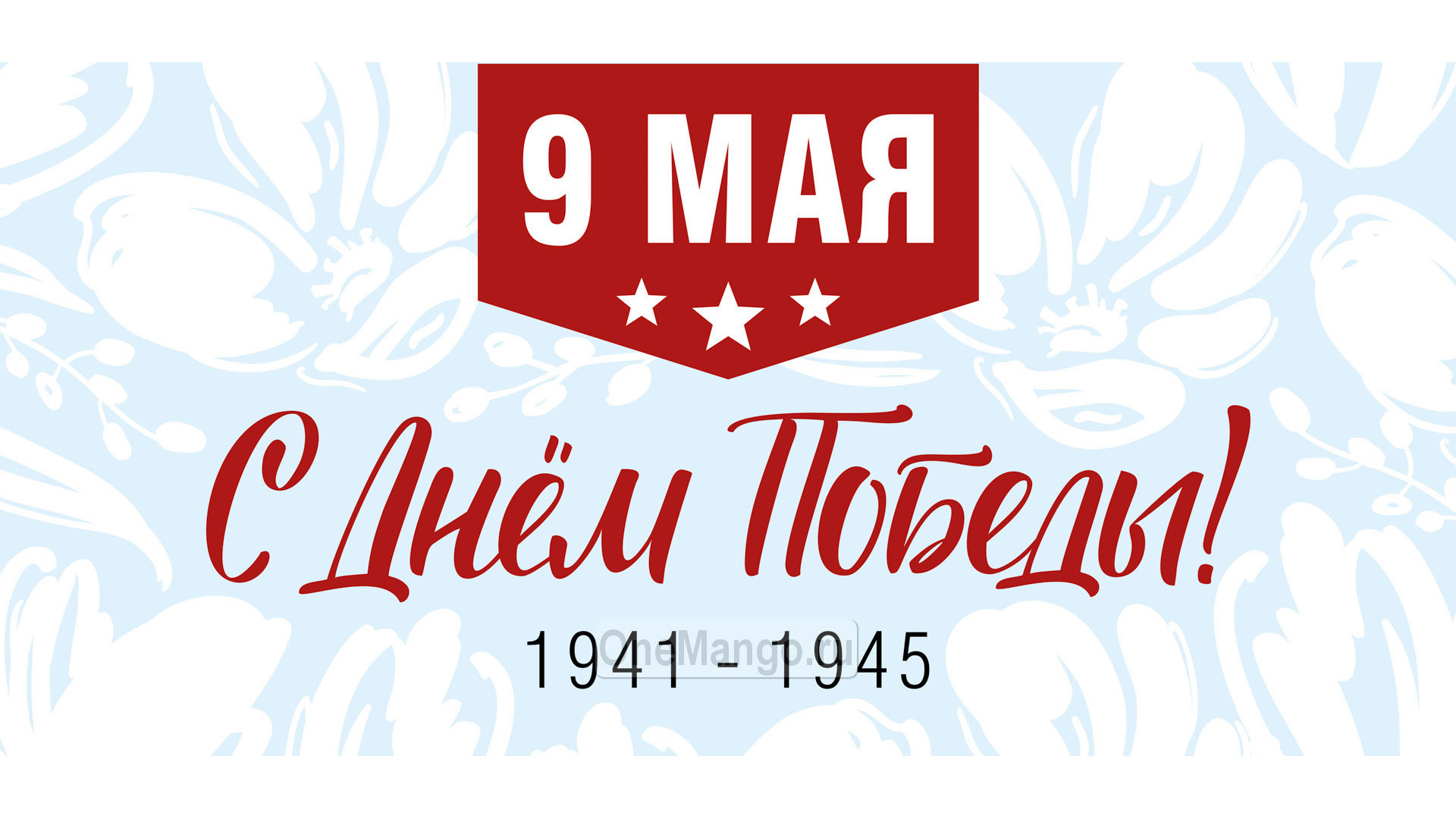 Занавес день победы 077