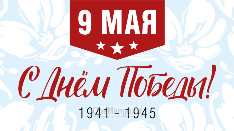 Занавес день победы 077