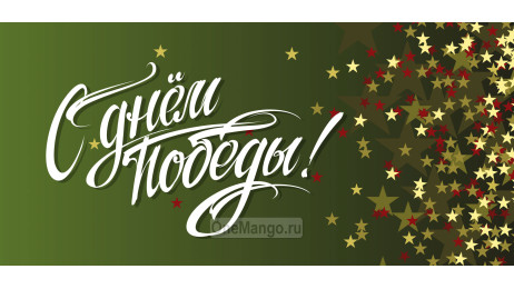 Занавес день победы 078