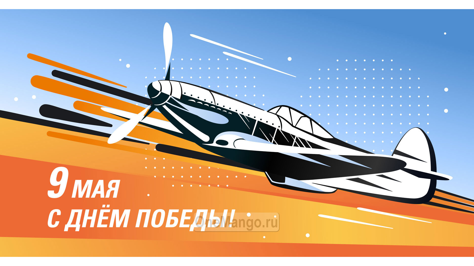Занавес день победы 081