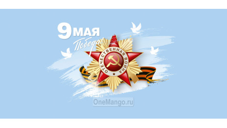 Занавес день победы 082
