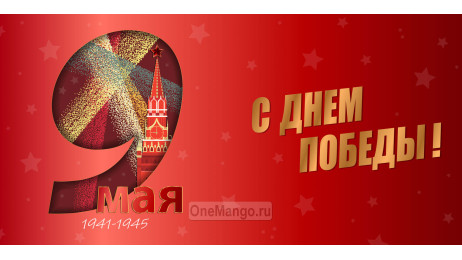 Занавес день победы 083