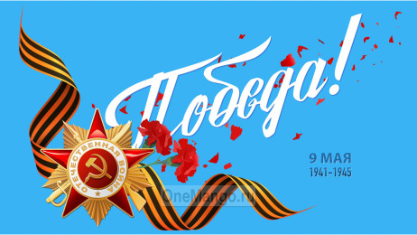 Занавес день победы 087