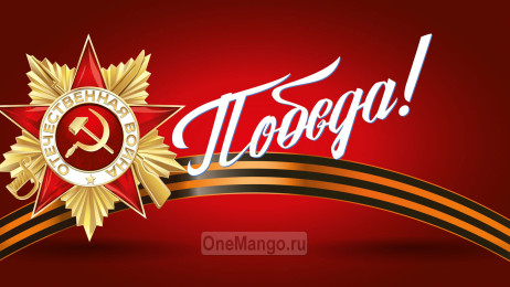 Занавес день победы 089