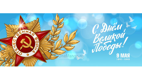 Занавес день победы 090