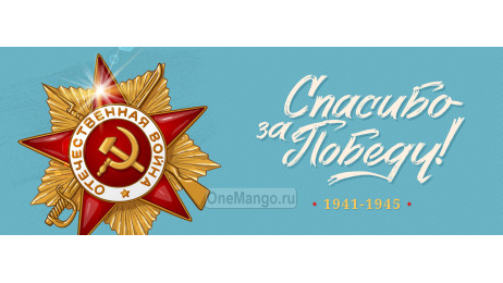 Занавес день победы 091