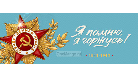 Занавес день победы 092