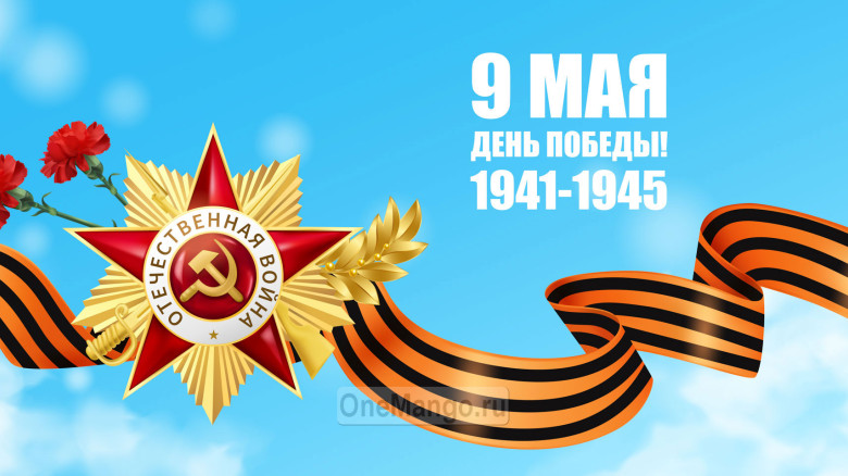 Занавес день победы 094