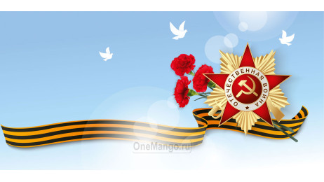 Занавес день победы 101