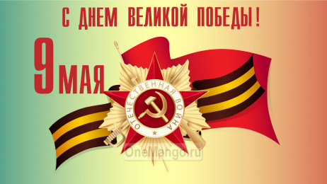 Занавес день победы 102